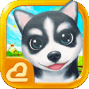 内圈APP官网2024年官方正版