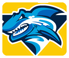 识蛛安卓版下载免费无实名认证2024版