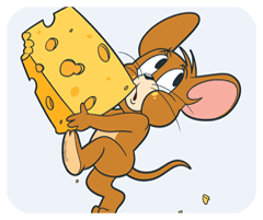 汽车后市场网安卓版手机版