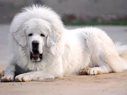 美帮众工APP极速版下载