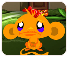 车拉拉APP更新版本