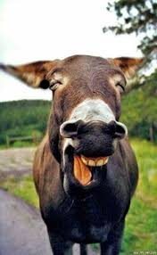 ¥行业APP最新版