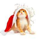 齐鲁首邑安卓版官方版官方版