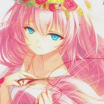 柳市圈安卓版下载安装2024