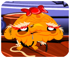 彩铃秀秀APP正式服