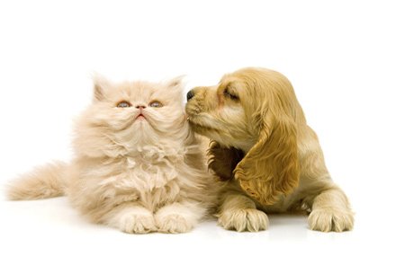 歌航音乐APP最新版