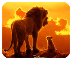 净机专家APP官方版