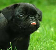 闪照获取预约安卓版安装下载正版无广告